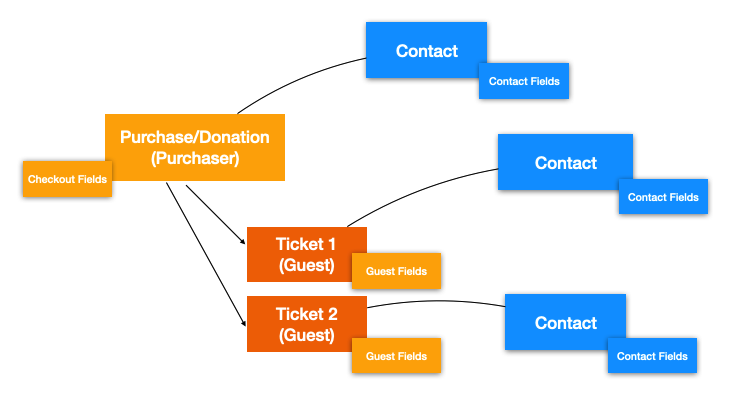 What Are Custom Fields